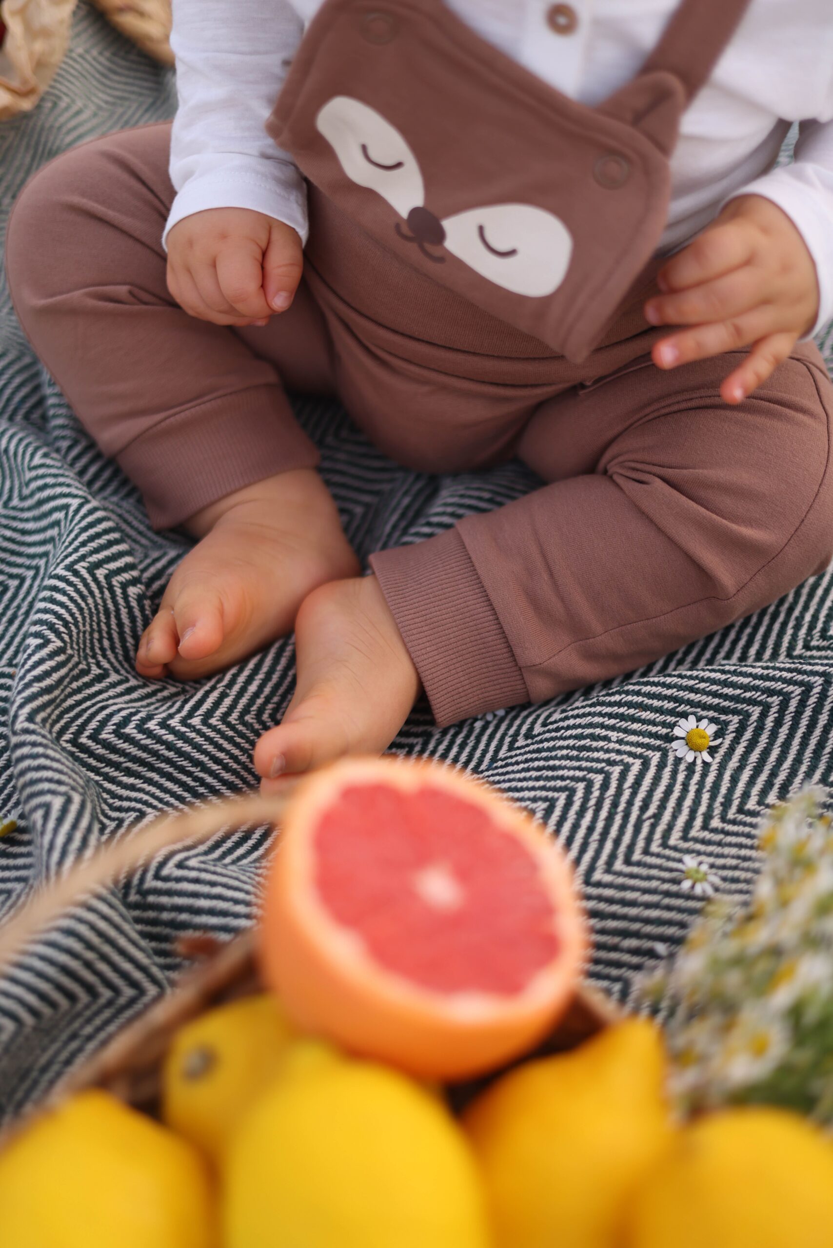Baby in bear outfit sitting on blanket with lemons and grapefruit, outdoor setting.